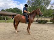Nova de M&eacute;r&eacute; SF 3 ans 