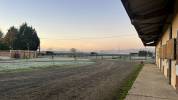 Pension chevaux & poneys - Durtal (49)