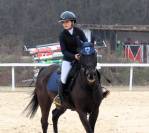 Pony 11 anni castrone 