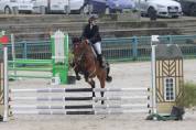 Hongre de 7 ans 1m49