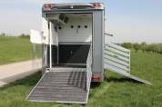 Camion per Cavalli Iveco IVECO DAILY 70C21 WMS POP OUT 2026 Nuovo