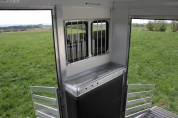 Camion per Cavalli Iveco IVECO DAILY 70C21 WMS POP OUT 2026 Nuovo