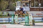 Cheval de sport cherche DP