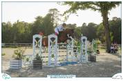 Poney hongre 7 ans