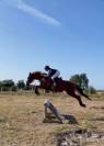 Cheval &agrave; louer