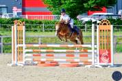 Superbe ponette C, Championne de France 
