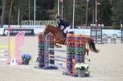 Superbe ponette C, Championne de France 