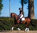 Hannovrien Lign&eacute;e de champion ?