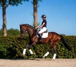 Hannovrien Lign&eacute;e de champion ?