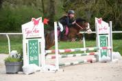 &Eacute;talon poney Welsh A 