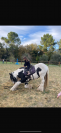 Vends poney adorable 