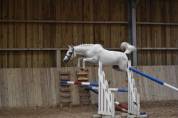 Ponnette de sport