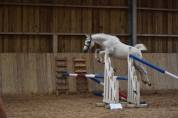 Ponnette de sport