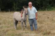 Poney HIGHLAND