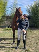 Groom maison concours ou cavalier soigneur 