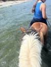 c&acirc;line 