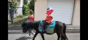 Deux adorables poneys 3 ans