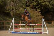 Ponette D 5 ans &agrave; vendre pour p1/elite 