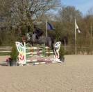 Chic Jument 6 ans - BERLIN X DIAMANT