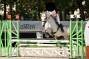 Ponette connemara 10 ans