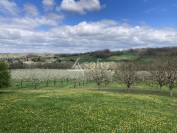 Belle propri&eacute;t&eacute; agricole sur 64ha avec plusieurs habitations
