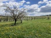 Belle propri&eacute;t&eacute; agricole sur 64ha avec plusieurs habitations