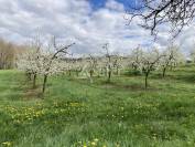 Belle propri&eacute;t&eacute; agricole sur 64ha avec plusieurs habitations