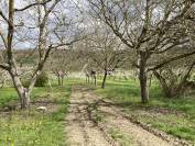 Belle propri&eacute;t&eacute; agricole sur 64ha avec plusieurs habitations