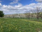 Belle propri&eacute;t&eacute; agricole sur 64ha avec plusieurs habitations