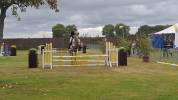 Gasby, hongre Appaloosa de 10 ans
