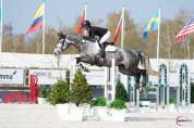 Jument de 10 ans Darco X Quick Star