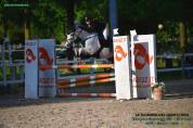 PONY STRAORDINARIO