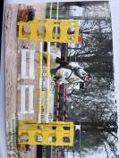PONY STRAORDINARIO