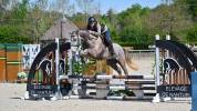 Top poney rans