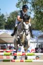 Chevaux &agrave; vendre ( 6 / 7 ans )