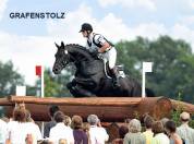 Poulain m&acirc;le 2 ans pie noir par Grafenstolz