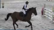 Jument cso amateur 