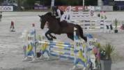 Jument cso amateur 