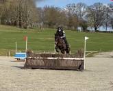 Jument 7 ans CCE, CSO, dressage