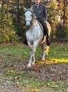 PURE rRACE ESPAGNOLE