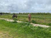 PENSION PRES RETRAITE