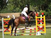 Cavalla SFR 2007 - Litchi Hoy x Ifie de Montsec