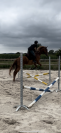 cheval a vendre 