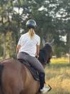 Et si vous partiez en vacances avec vos chevaux?