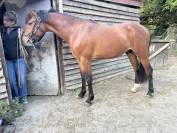 M&acirc;le PFS de 3 ans par Pixies Leam Pondi