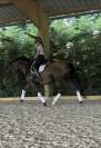 Jument pure race espagnole 