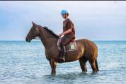 Top Cheval pour Sport 