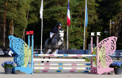 Yegua PFS Poni Fran&ccedil;&eacute;s de Silla En venta 2022 Tordo