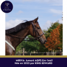Yegua AQPS En venta 2022 Bayo