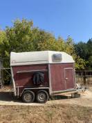 van Branderup Original 2 chevaux 
